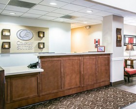 Comfort Suites Willowbrook