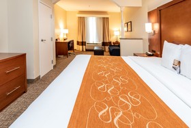 Comfort Suites near Texas Medical Center – NRG Stadium