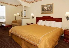 Comfort Suites near Texas Medical Center – NRG Stadium