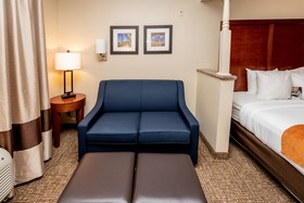 Comfort Suites near Texas Medical Center – NRG Stadium