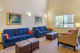Comfort Suites Near the Galleria