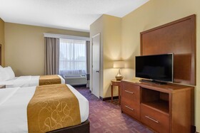 Comfort Suites Near the Galleria