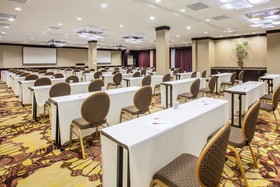Crowne Plaza Houston Galleria Area