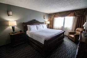 Wyndham Houston near NRG Park/Medical Center