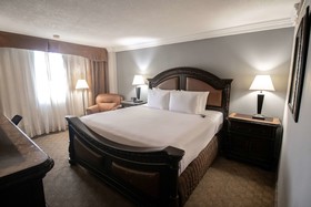 Wyndham Houston near NRG Park/Medical Center