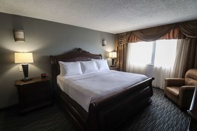 Wyndham Houston near NRG Park/Medical Center