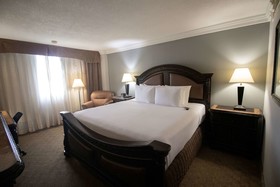 Wyndham Houston near NRG Park/Medical Center