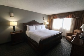 Wyndham Houston near NRG Park/Medical Center