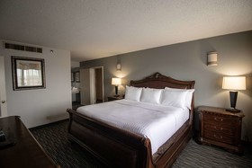 Wyndham Houston near NRG Park/Medical Center