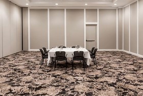 Wyndham Houston near NRG Park/Medical Center