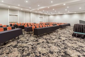 Wyndham Houston near NRG Park/Medical Center