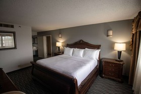 Wyndham Houston near NRG Park/Medical Center