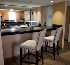 Wyndham Houston near NRG Park/Medical Center