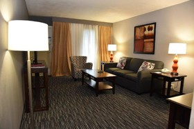 Wyndham Houston near NRG Park/Medical Center