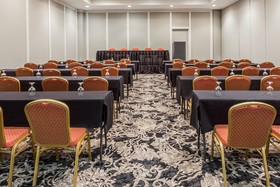 Wyndham Houston near NRG Park/Medical Center