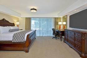 Wyndham Houston near NRG Park/Medical Center