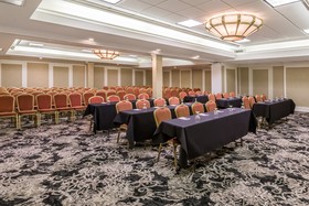 Wyndham Houston near NRG Park/Medical Center