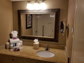 Wyndham Houston near NRG Park/Medical Center