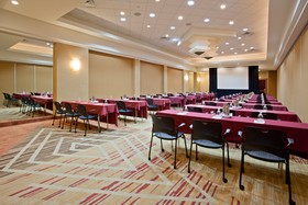 Crowne Plaza Houston Med Ctr-Galleria Area