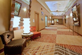Crowne Plaza Houston Med Ctr-Galleria Area