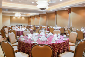 Crowne Plaza Houston Med Ctr-Galleria Area