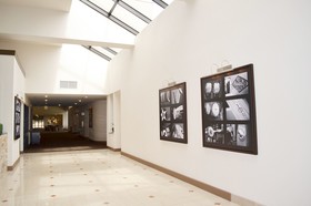 DoubleTree by Hilton Hotel Houston Hobby Airport