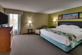 Drury Inn & Suites Near the Galleria Houston