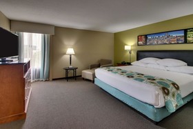 Drury Inn & Suites Near the Galleria Houston