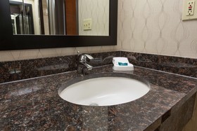 Drury Inn & Suites Near the Galleria Houston