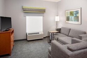 Hampton Inn & Suites Houston Medical Center