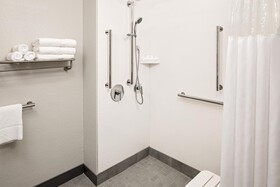 Hampton Inn & Suites Houston Medical Center