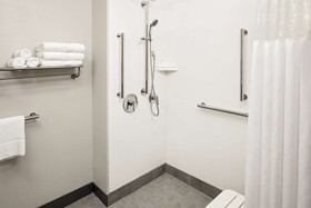 Hampton Inn & Suites Houston Medical Center