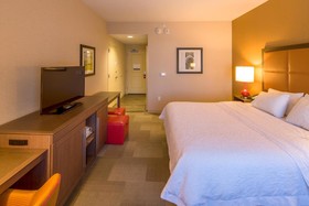 Hampton Inn Houston Downtown