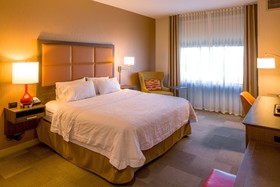 Hampton Inn Houston Downtown