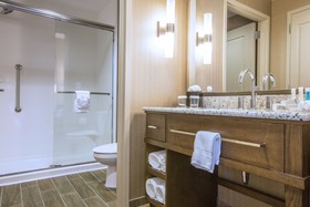 Hampton Inn Houston Downtown