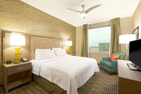 Hampton Inn Houston Downtown