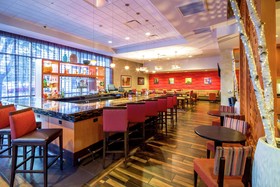 Hampton Inn Houston Downtown