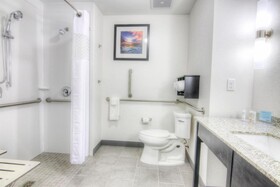 Hampton Inn Houston I-10 East