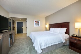 Hampton Inn Houston Near the Galleria