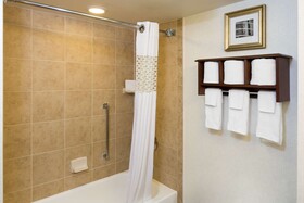 Hampton Inn Houston Near the Galleria