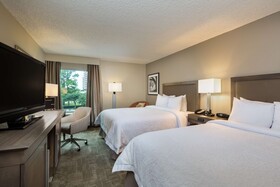 Hampton Inn Houston Near the Galleria
