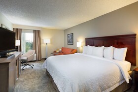 Hampton Inn Houston Near the Galleria