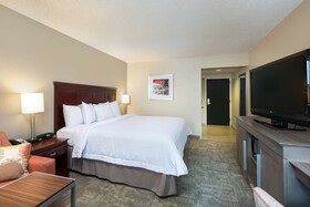 Hampton Inn Houston Near the Galleria