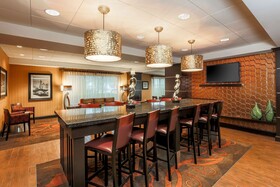 Hampton Inn Houston Near the Galleria