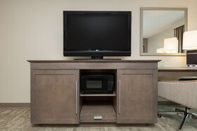Hampton Inn Houston Near the Galleria
