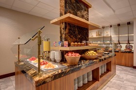 Hilton Americas Houston