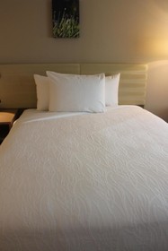 Kozy Hotel Houston North
