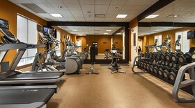 Hilton Garden Inn Houston Galleria