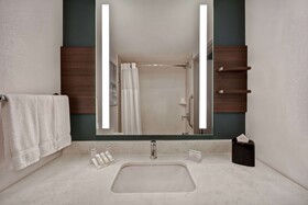 Hilton Garden Inn Houston Galleria