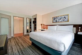 Hilton Garden Inn Houston Galleria